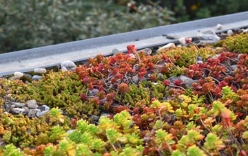 the cost of Marl Bank green roof installation