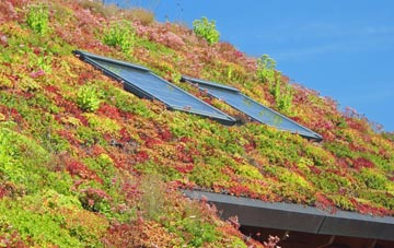 Marl Bank living roof systems